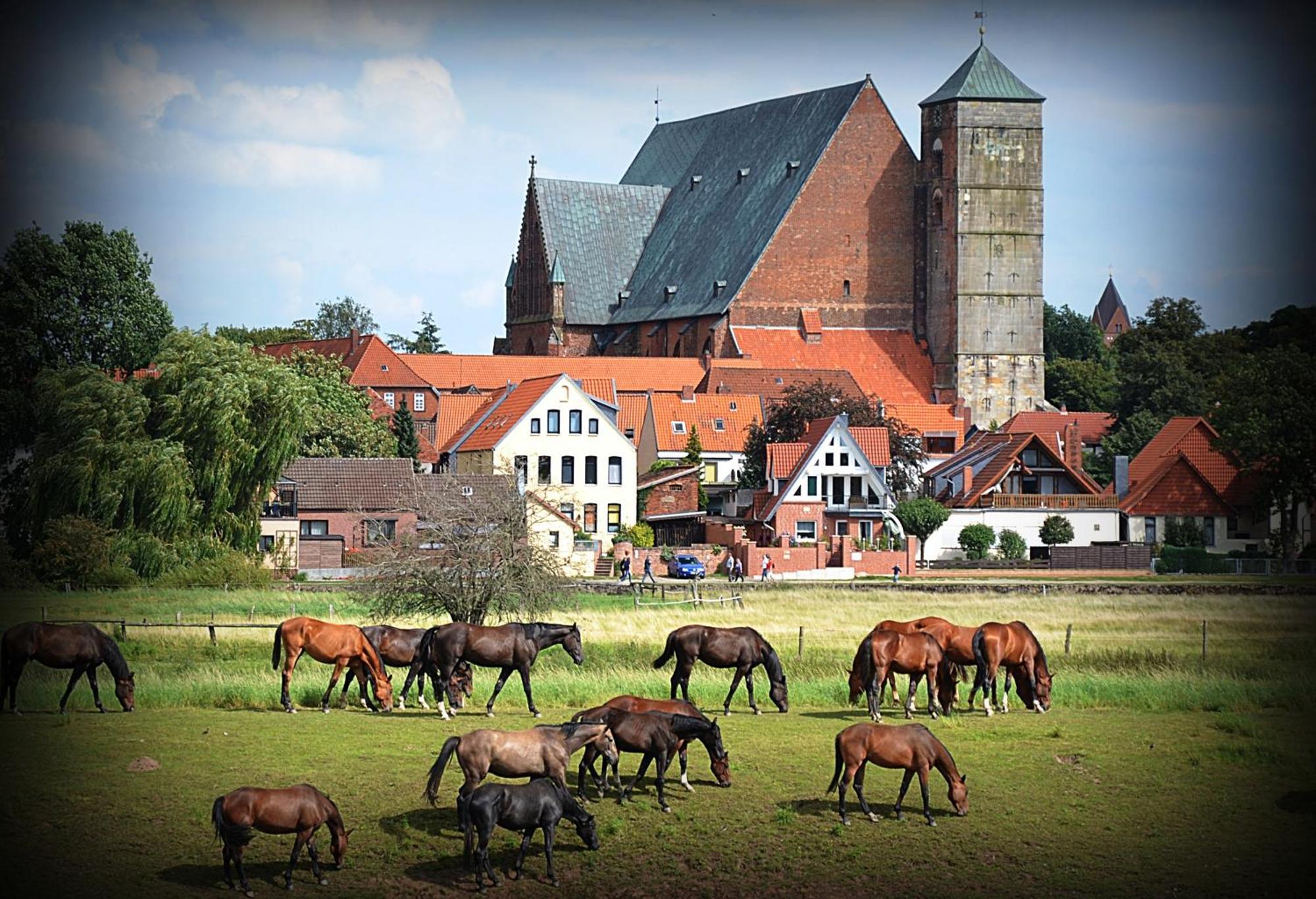 Landhotel Zur Linde Verden an der Aller Luaran gambar